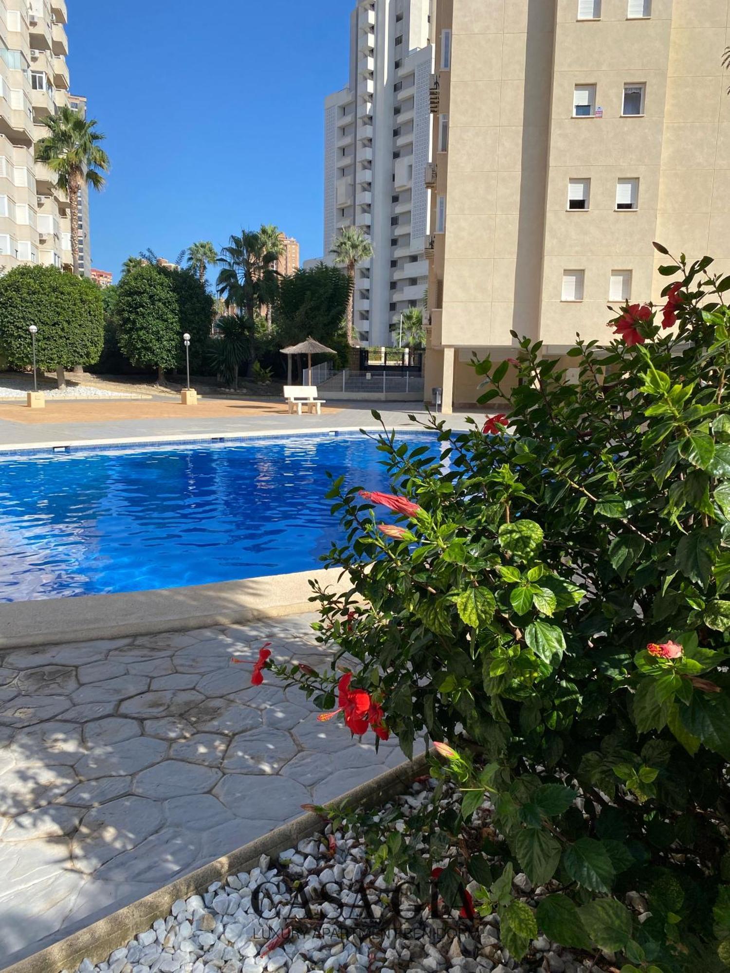 Casa Gia L Luxury Apartment 貝尼多姆 外观 照片